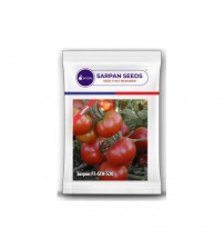 Tomato Sarpan STH-520 10 grams
